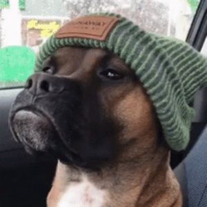 Meet your Posher, Jeff